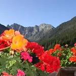 Haus Strieder - Obergail Апартаменты *