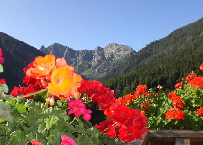 Haus Strieder - Obergail Appartamento *